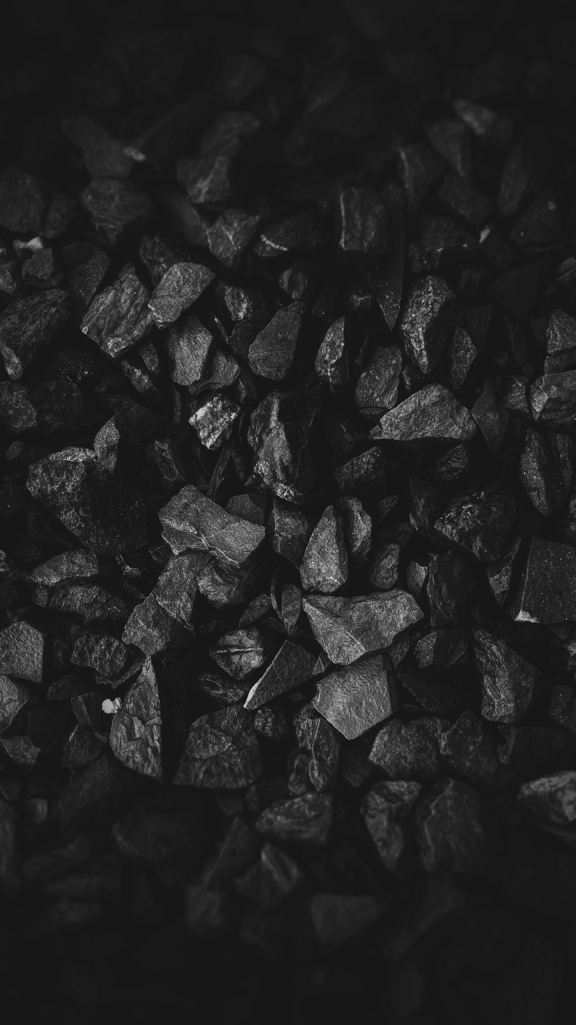 Carvão vegetal produzido em uma planta de carbonização
